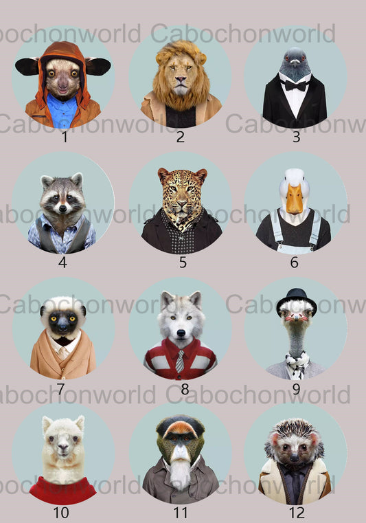 Collection de cabochons d'animaux en vêtements CWN0009