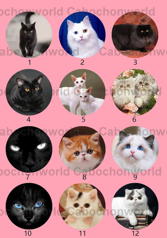 Cute Cat Cabochon Collection CWN0026