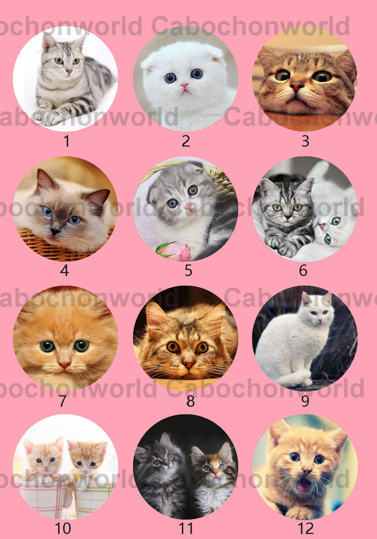 Cute Cat Cabochon Collection CWN0027