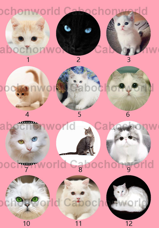 Cute Cat Cabochon Collection CWN0028