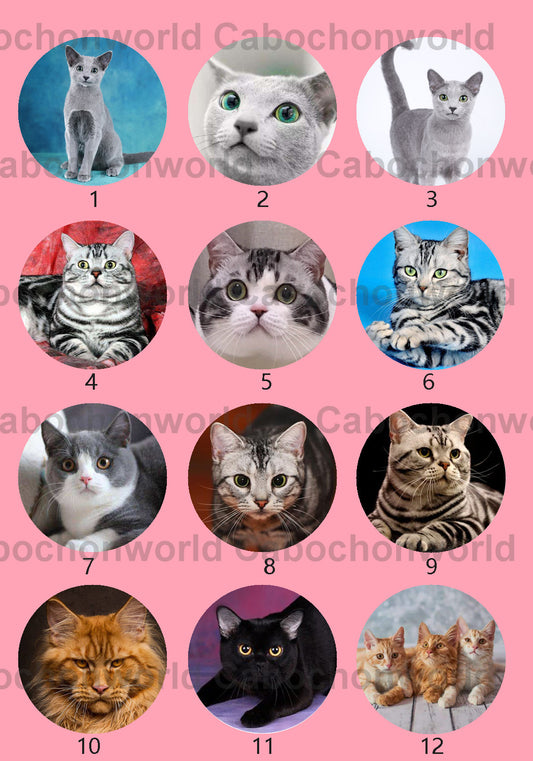 Cute Cat Cabochon Collection CWN0030