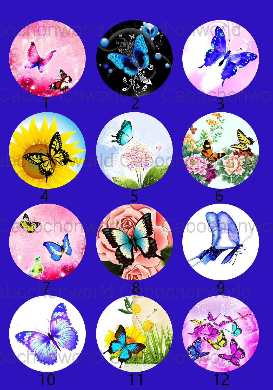 Butterfly Painting Cabochon Collection CW0056