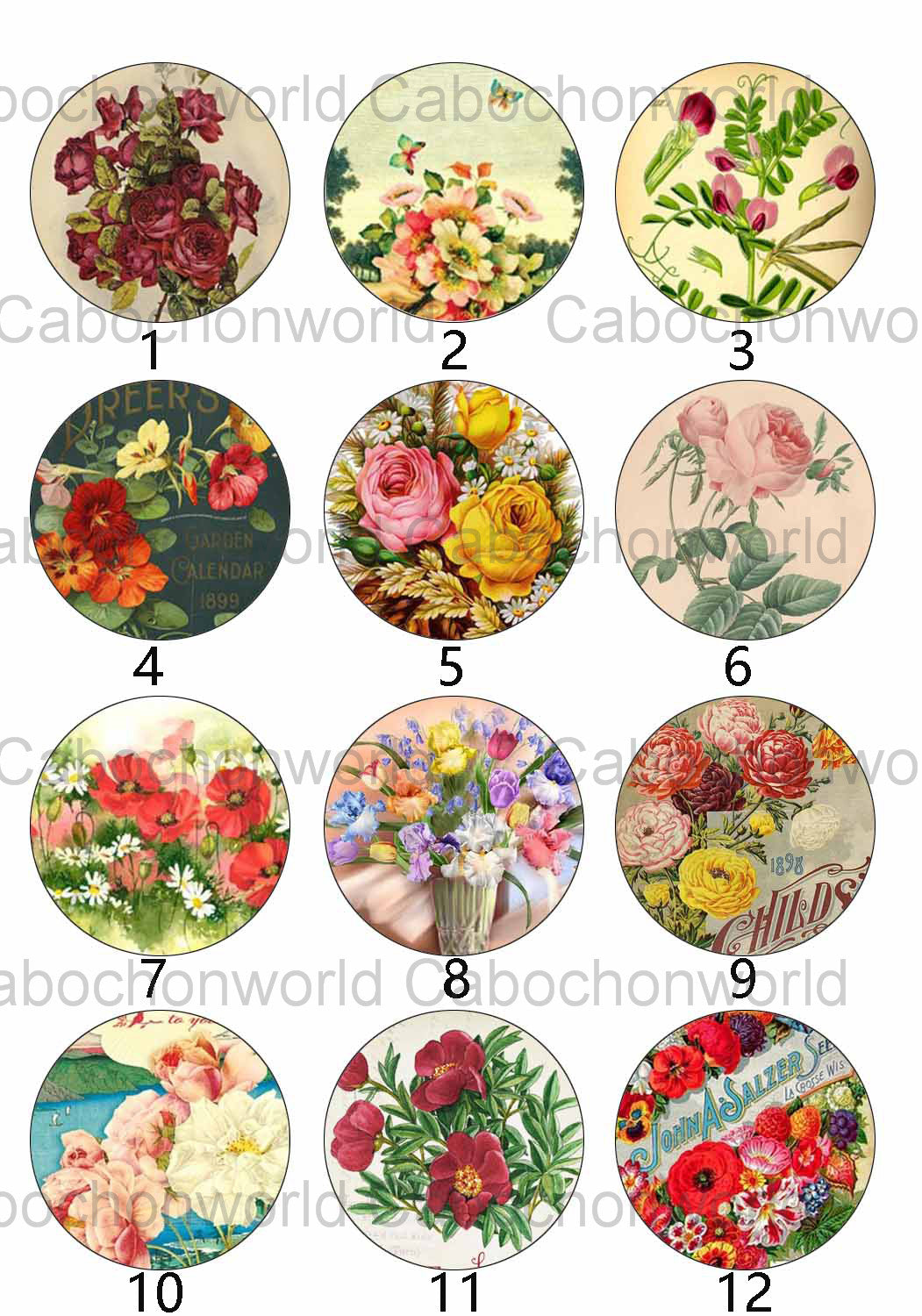 Various Floral Painting Cabochon Collection CW0119