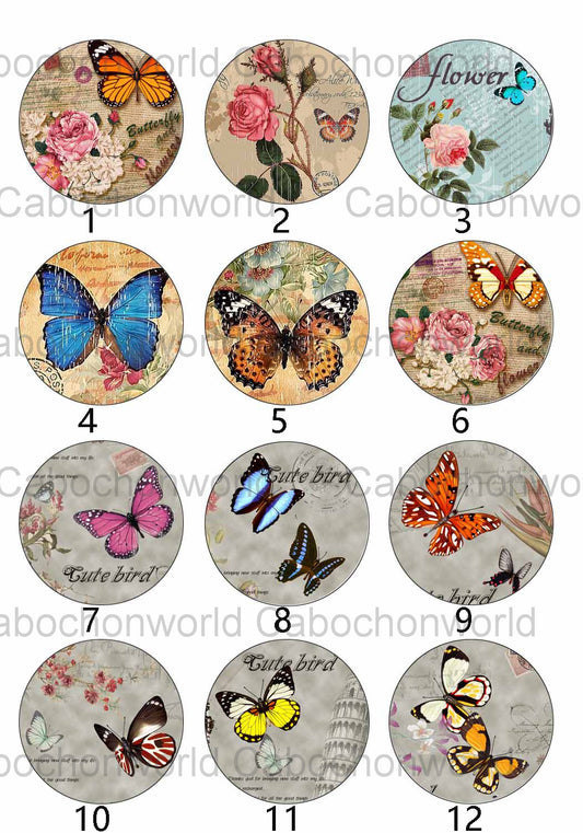 Various Butterfly Painting Cabochon Collection CW0122