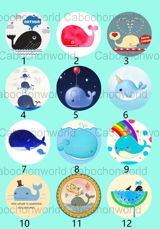 Cartoon Whale Cabochon Collection CW0155