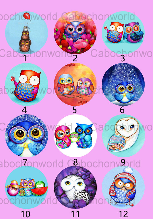 Cartoon Owl Painting Cabochon Collection CW0225