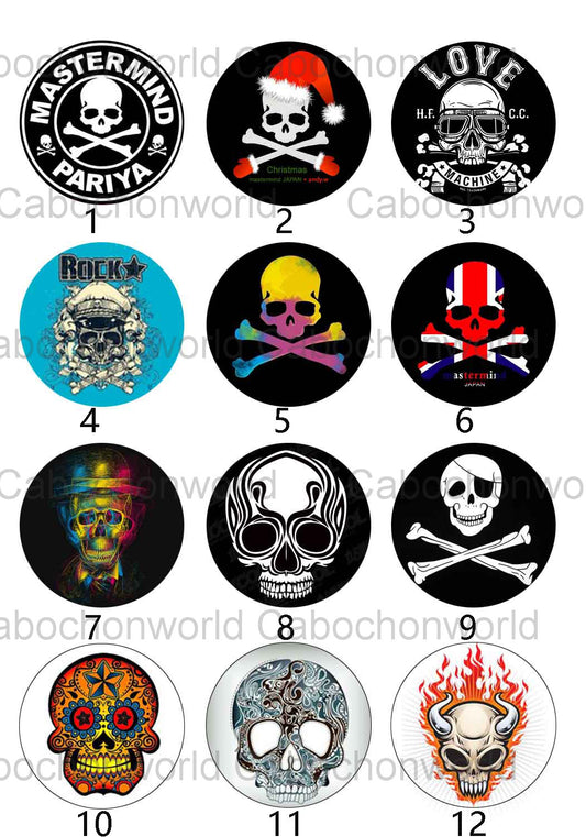 Various Skull Cabochon Collection CW0239