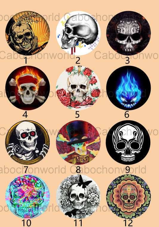 Various Skull Cabochon Collection CW0240