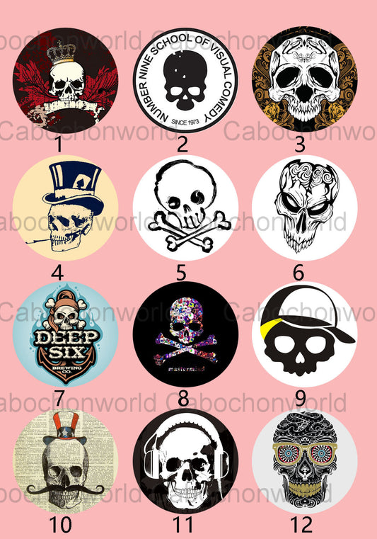 Various Skull Cabochon Collection CW0243