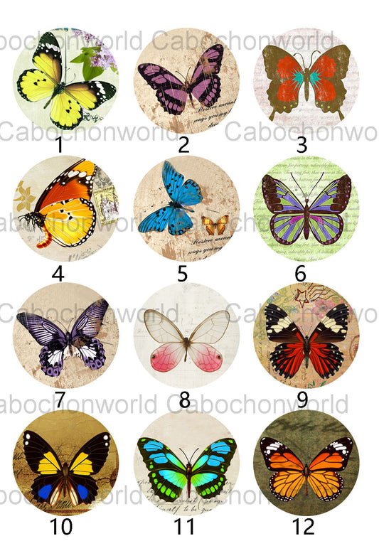 Collection Cabochon Papillon CW0261