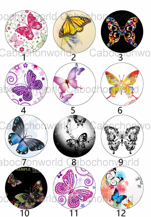 Collection Cabochon Papillon CW0262