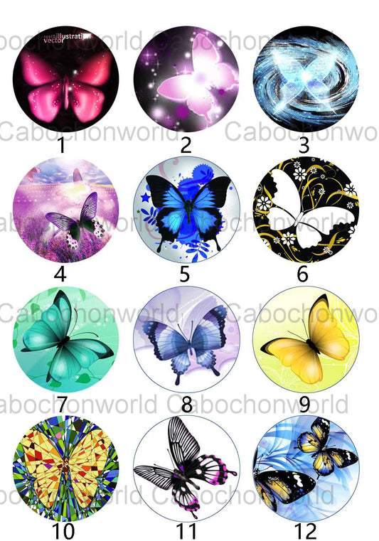 Collection Cabochon Papillon CW0323