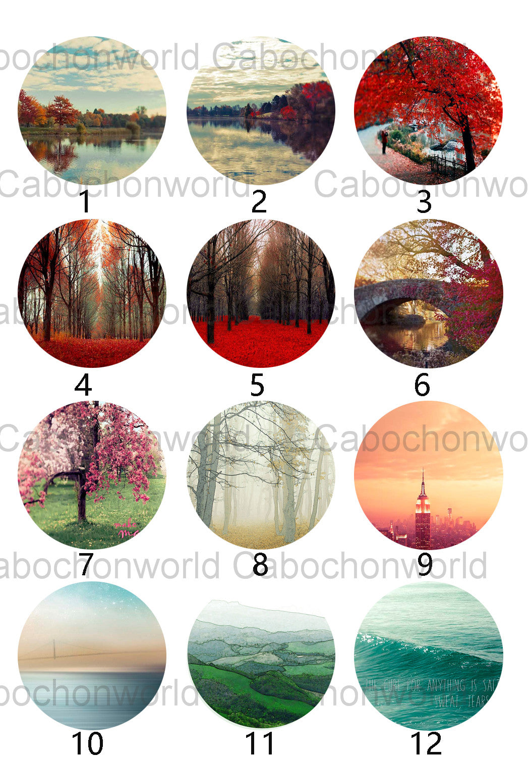 Autumn Cabochon Collection CW0352