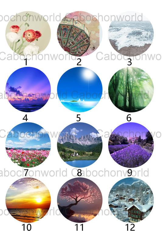 Beautiful Scenery Cabochon Collection CW0353