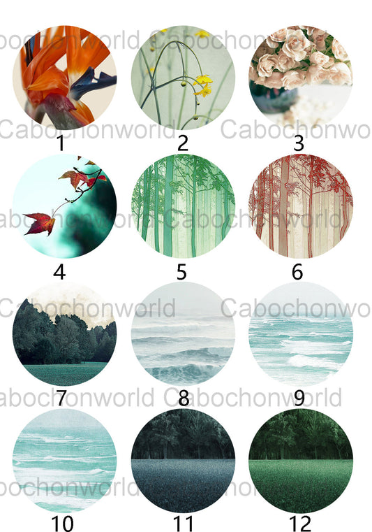 Beautiful Scenery Cabochon Collection CW0356