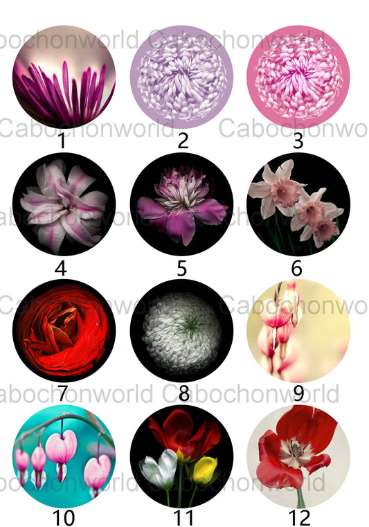 Beautiful Flower Cabochon Collection CW0357