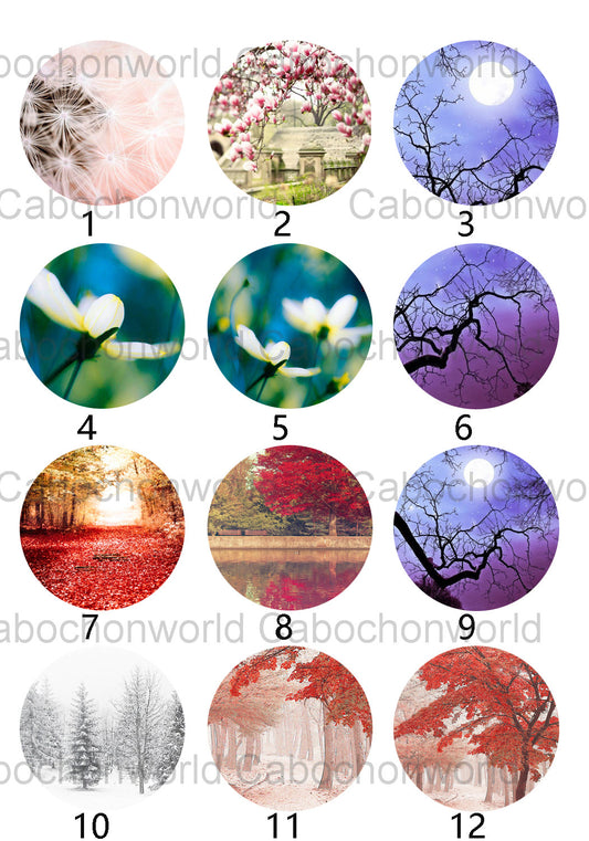 Beautiful Scenery Cabochon Collection CW0358