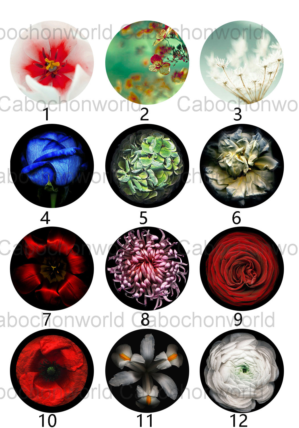 Beautiful Flower Cabochon Collection CW0361