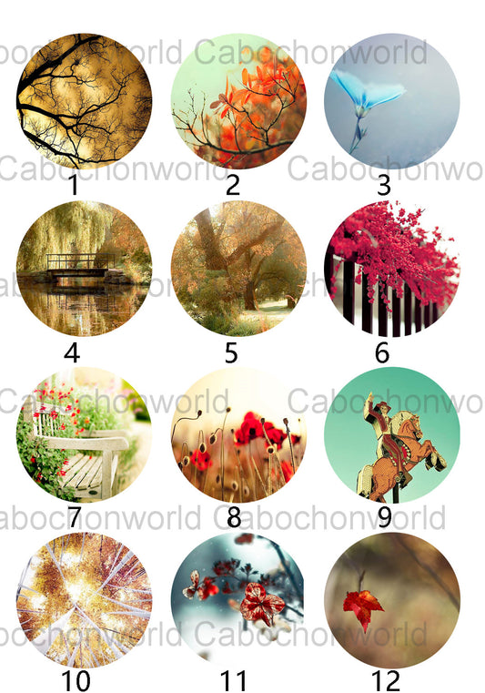 Beautiful Scenery Cabochon Collection CW0362