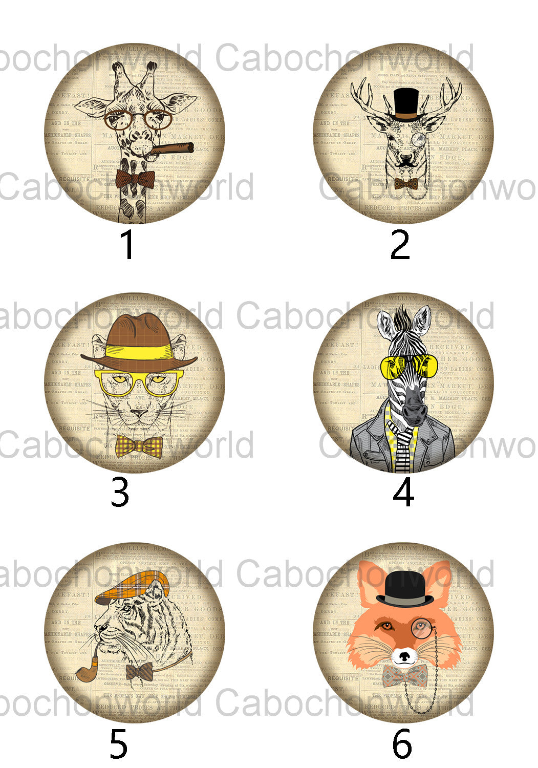 Dress Up Animal Cabochon Collection CW0369