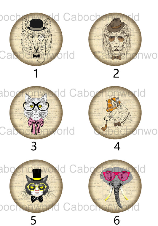 Dress Up Animal Cabochon Collection CW0370