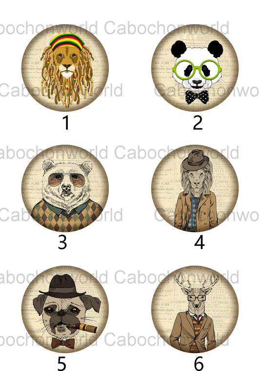 Dress Up Animal Cabochon Collection CW0371