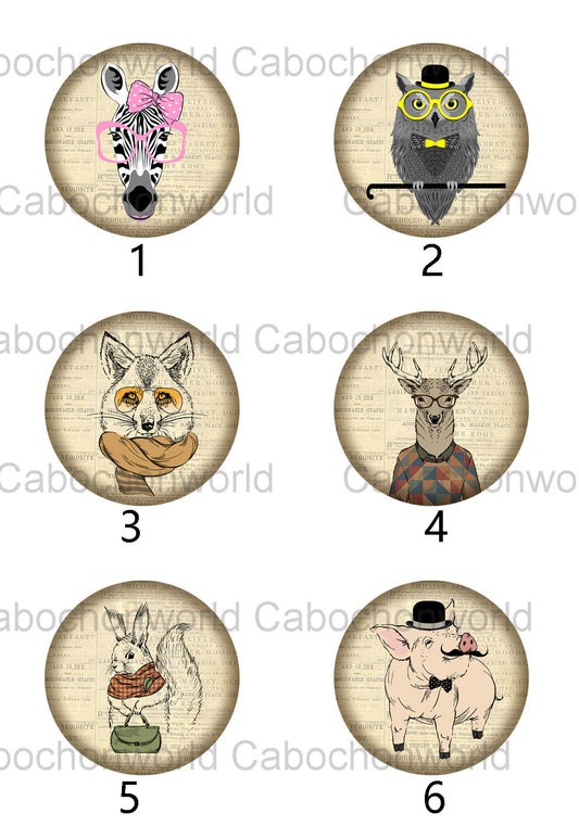 Dress Up Animal Cabochon Collection CW0372