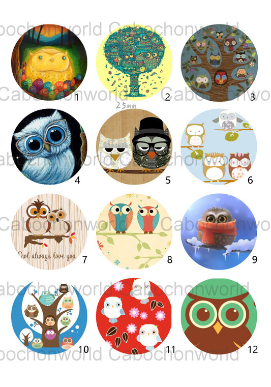 Collection de cabochons de peinture de hibou CW0408