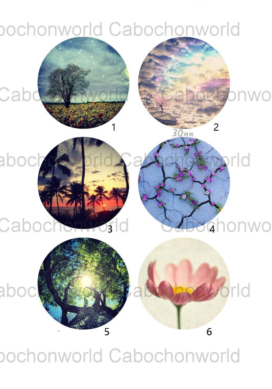 Collection de cabochons de beaux paysages CW0413