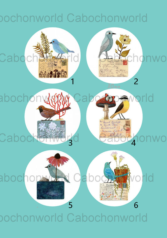 Bird Letter Cabochon Collection CW0444