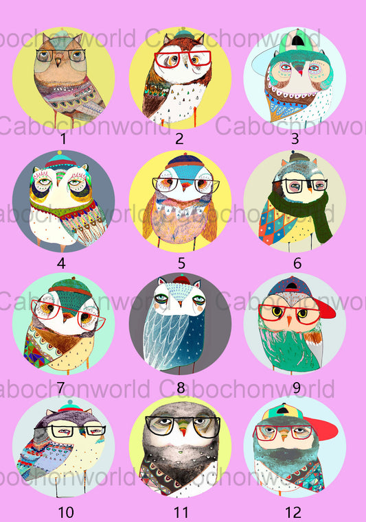 Collection de cabochons de peinture de hibou mignon CW0499