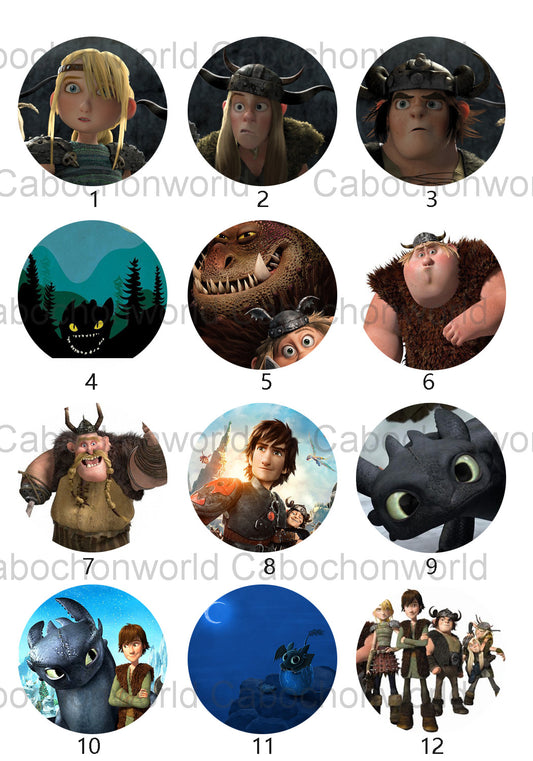 How to Train Your Dragon Cabochon Collection CW0527