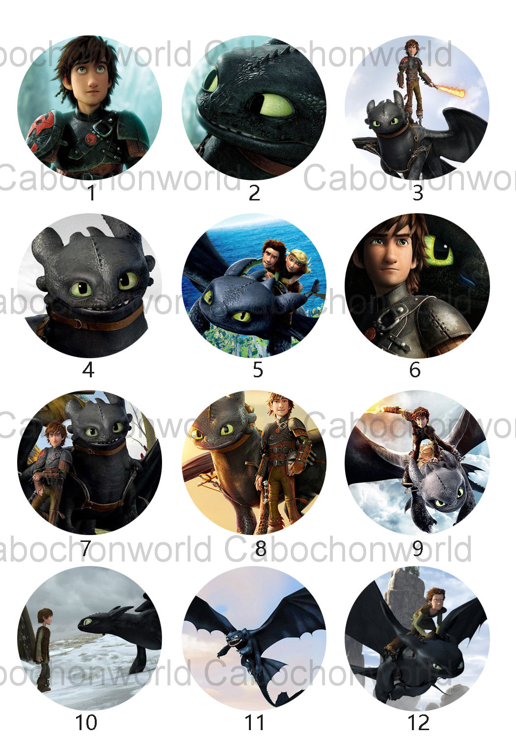 How to Train Your Dragon Cabochon Collection CW0528