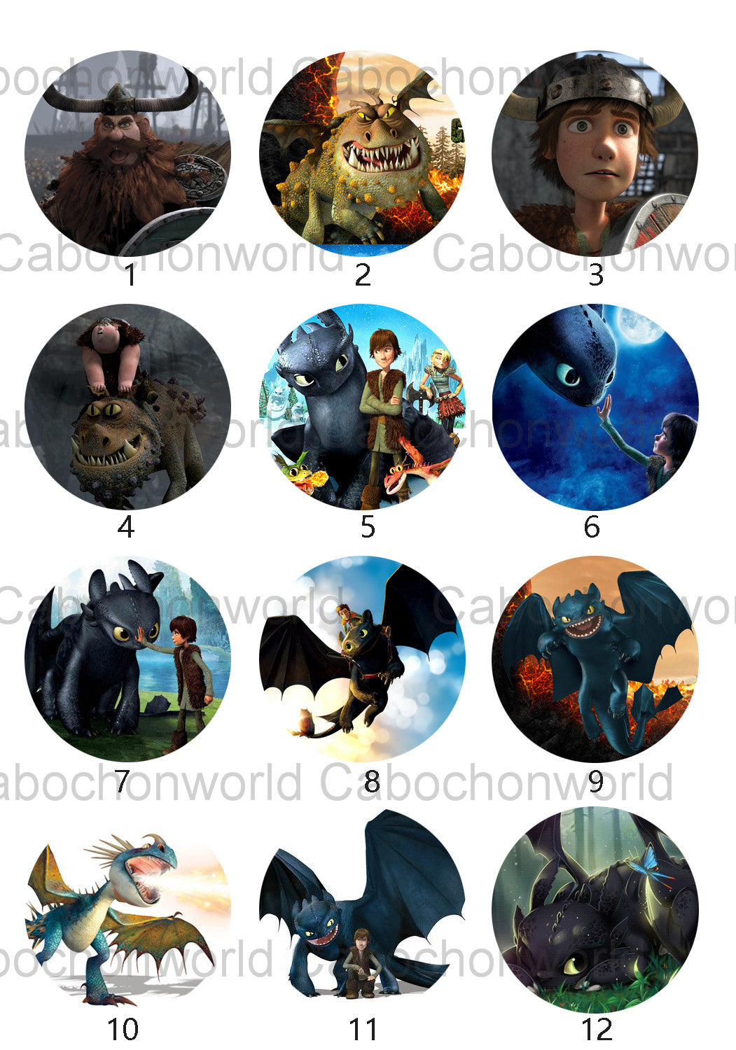 How to Train Your Dragon Cabochon Collection CW0529