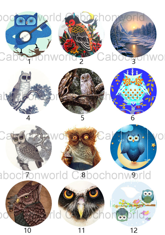 Various Owl Cabochon Collection CW0530