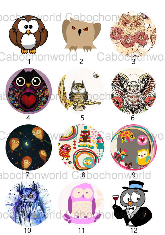 Various Owl Cabochon Collection CW0531