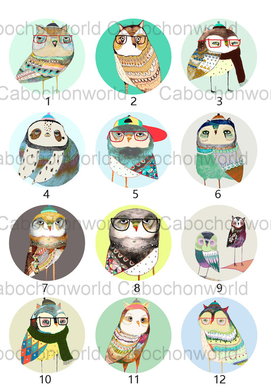 Various Owl Cabochon Collection CW0532