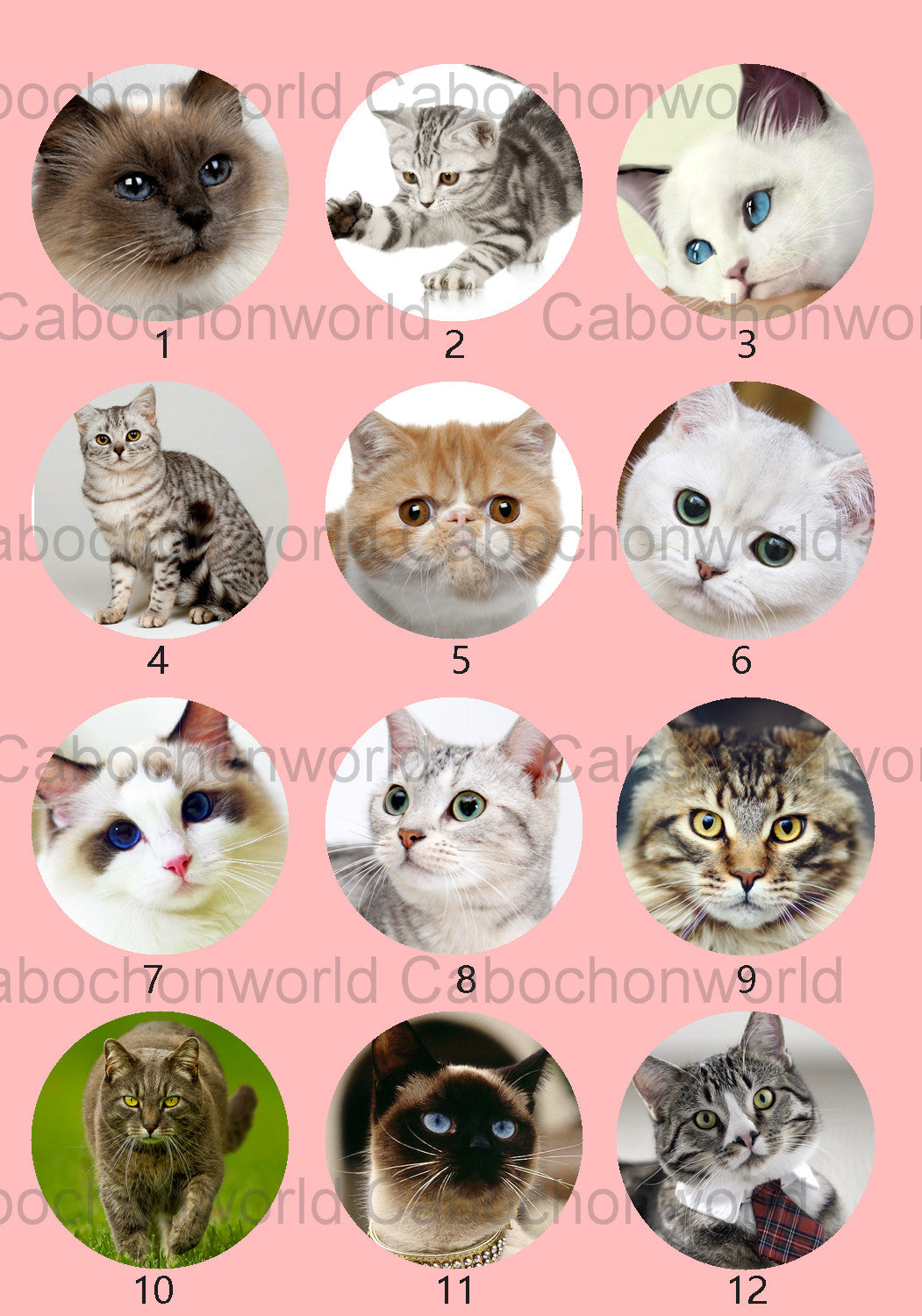 Lovely Cat Cabochon Collection CW0535