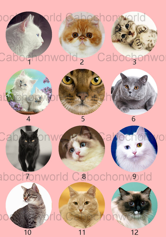 Lovely Cat Cabochon Collection CW0536