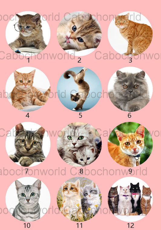 Lovely Cat Cabochon Collection CW0537