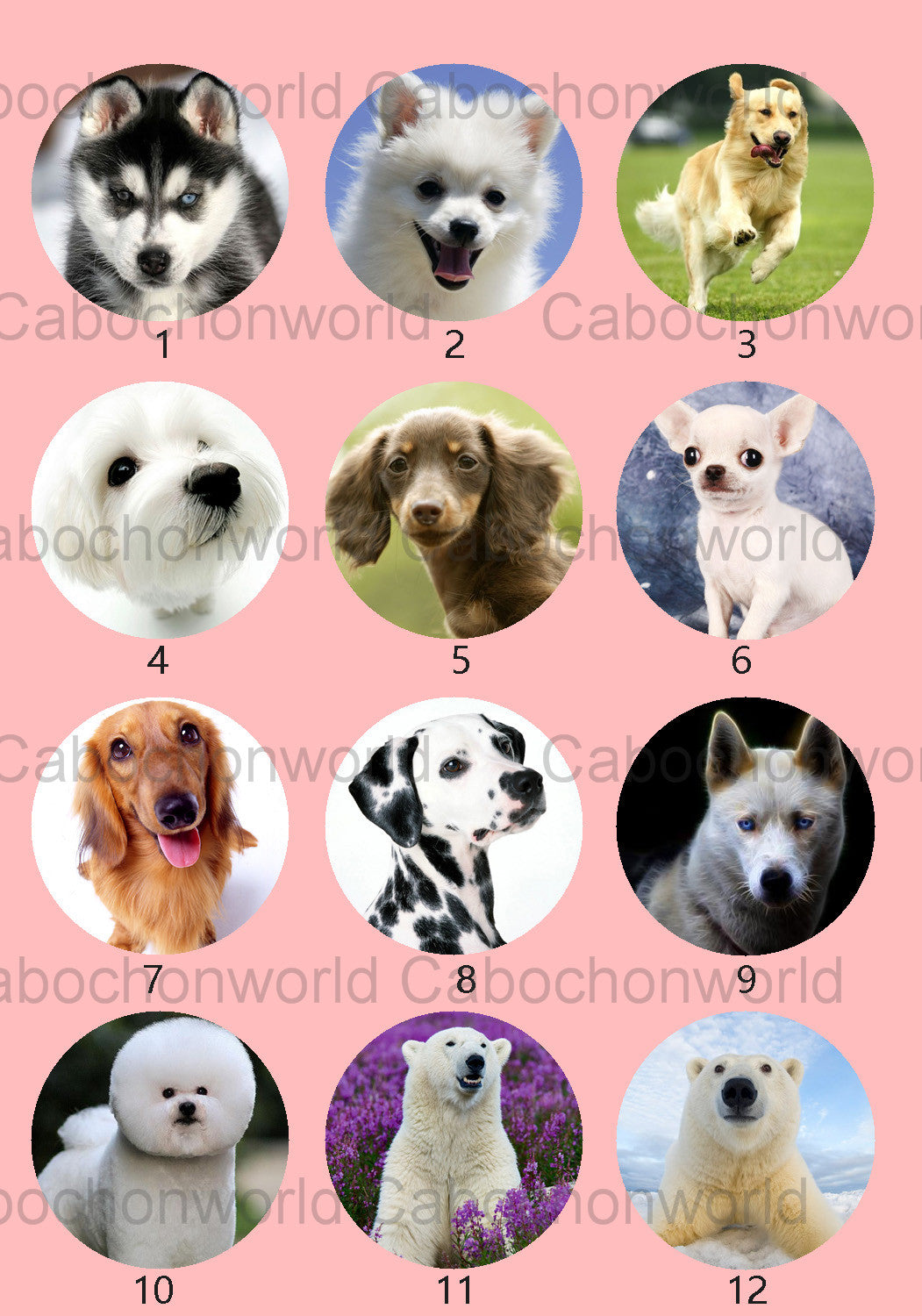 Lovely Dog Cabochon Collection CW0538