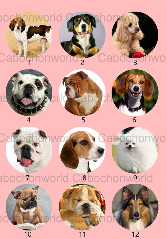 Lovely Dog Cabochon Collection CW0540