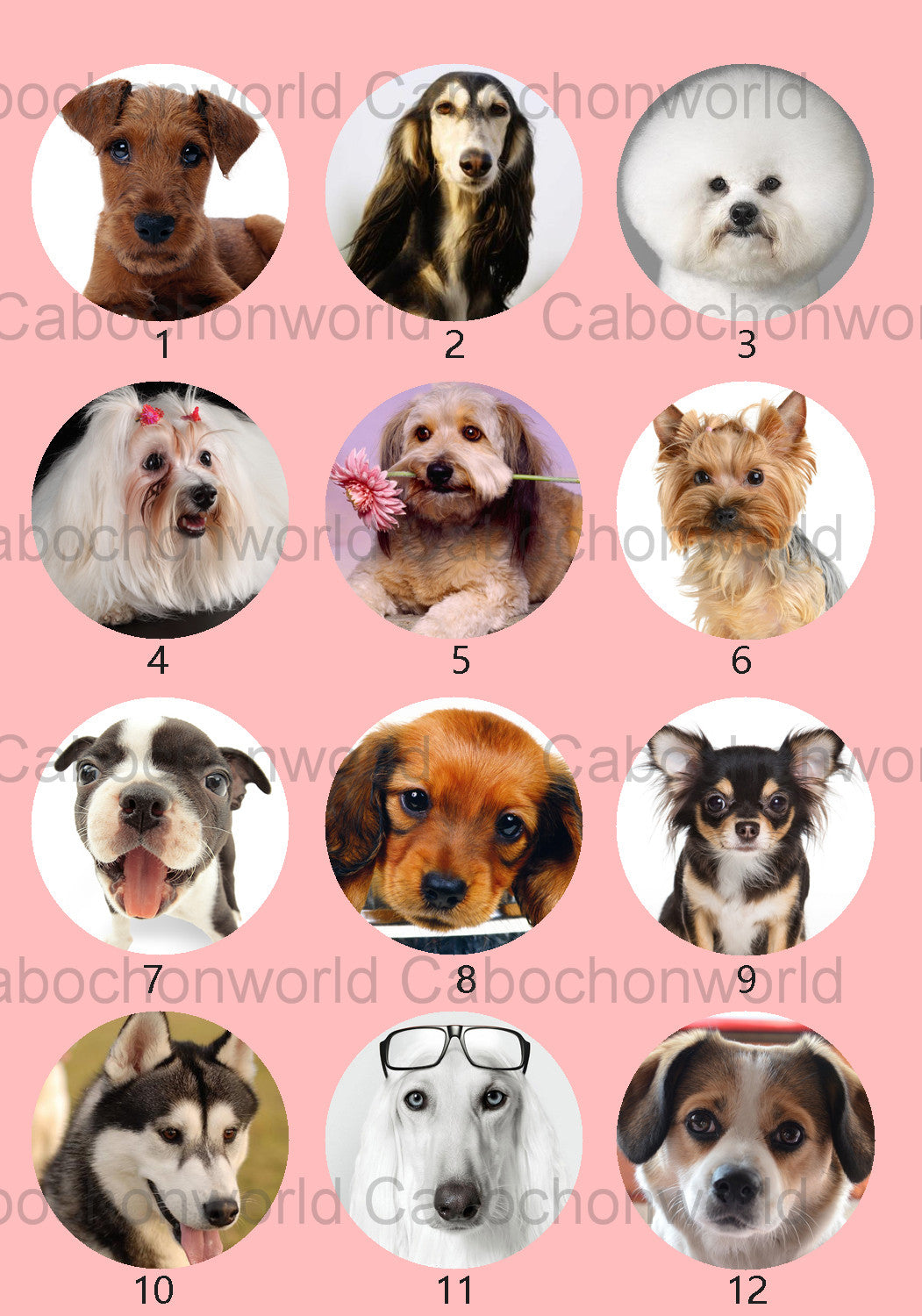 Lovely Dog Cabochon Collection CW0541