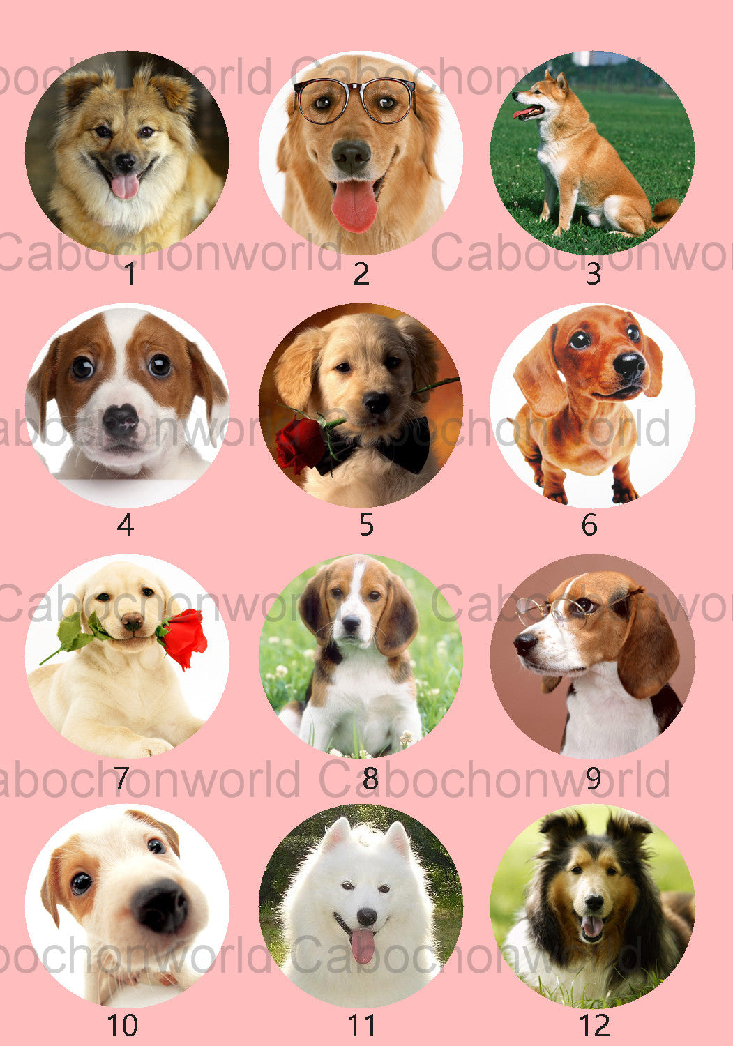 Lovely Dog Cabochon Collection CW0542