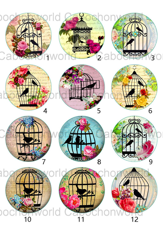 Bird Cage Cabochon Collection CW0546