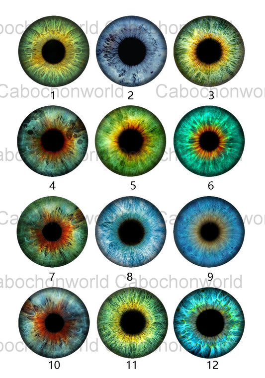 Eye Iris Cabochon Collection CW0577