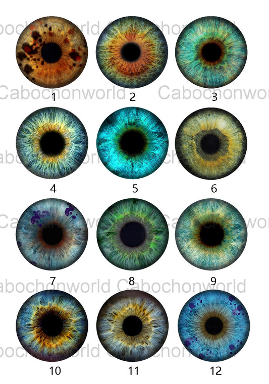 Eye Iris Cabochon Collection CW0578