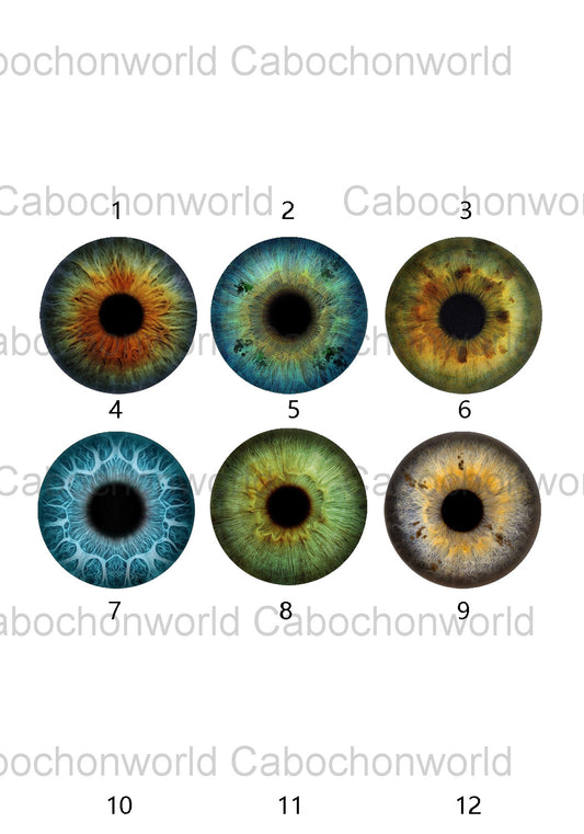 Eye Iris Cabochon Collection CW0581