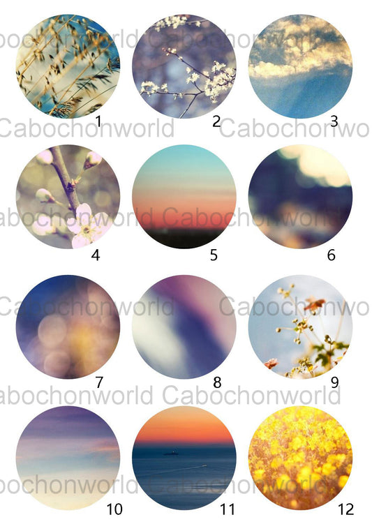 Beautiful Scenery Cabochon Collection CW0583