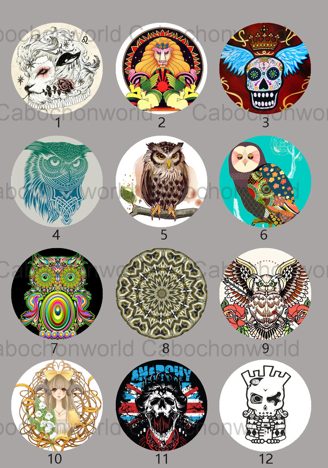 Various Owl Cabochon Collection CW0626